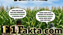 Polisi Cinta Petani: Bhabinkamtibmas Desa Tanah Merah Cek Kondisi Tanaman Jagung Dukung Ketahanan Pangan Nasional