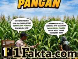 Polisi Cinta Petani: Bhabinkamtibmas Desa Tanah Merah Cek Kondisi Tanaman Jagung Dukung Ketahanan Pangan Nasional