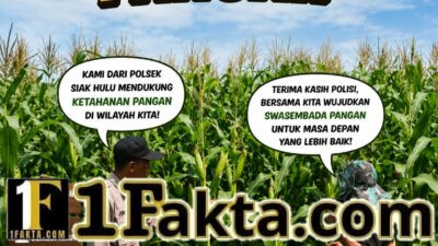 Polisi Cinta Petani: Bhabinkamtibmas Desa Tanah Merah Cek Kondisi Tanaman Jagung Dukung Ketahanan Pangan Nasional