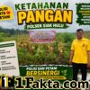 Polisi Cinta Petani, Bhabinkamtibmas Polsek Siak Hulu Cek Kondisi Tanaman Jagung Dukung Ketahanan Pangan Nasional