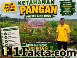 Polisi Cinta Petani, Bhabinkamtibmas Polsek Siak Hulu Cek Kondisi Tanaman Jagung Dukung Ketahanan Pangan Nasional