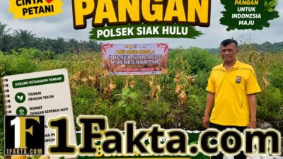 Polisi Cinta Petani, Bhabinkamtibmas Polsek Siak Hulu Cek Kondisi Tanaman Jagung Dukung Ketahanan Pangan Nasional