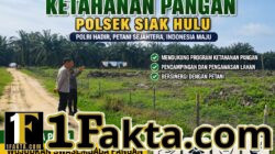Dari Ladang untuk Negeri, Polsek Siak Hulu Dukung Ketahanan Pangan