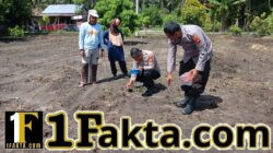 Kompol Y,E Bambang Dewanto Kapolsek Tapung Dampingi Kelompok Tani Tanam Jagung Pipil