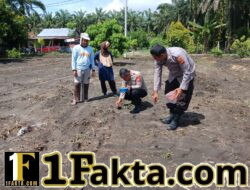 Kompol Y,E Bambang Dewanto Kapolsek Tapung Dampingi Kelompok Tani Tanam Jagung Pipil