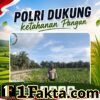 Bhabinkamtibmas Polsek Siak Hulu Cek Perkembangan Tanaman Jagung Koppsa M, Dukung Swasembada Pangan Nasional 