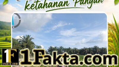 Bhabinkamtibmas Polsek Siak Hulu Cek Perkembangan Tanaman Jagung Koppsa M, Dukung Swasembada Pangan Nasional 