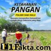 Polsek Siak Hulu Terus Pantau Cek dan Prioritaskan Perkembangan Jagung Lahan Koppsa M, Dukung Program Asta Cita