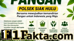 Kapolsek Siak Hulu Cek Perkembangan Tanaman Jagung Warga, Dukung Ketahanan Pangan Nasional