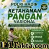BHABINKAMTIBMAS DESA PANDAU JAYA MONITOR PERTUMBUHAN TANAMAN JAGUNG, WUJUD DUKUNGAN POLRI TERHADAP KETAHANAN PANGAN