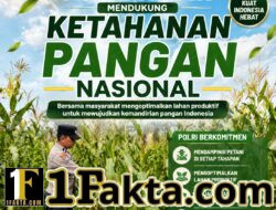 BHABINKAMTIBMAS DESA PANDAU JAYA MONITOR PERTUMBUHAN TANAMAN JAGUNG, WUJUD DUKUNGAN POLRI TERHADAP KETAHANAN PANGAN