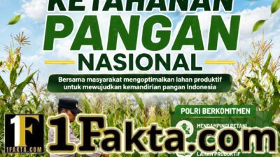 BHABINKAMTIBMAS DESA PANDAU JAYA MONITOR PERTUMBUHAN TANAMAN JAGUNG, WUJUD DUKUNGAN POLRI TERHADAP KETAHANAN PANGAN