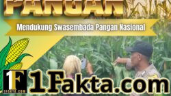BHABINKAMTIBMAS DESA TANAH MERAH LAKUKAN MONITORING TANAMAN JAGUNG, WUJUD DUKUNGAN POLRI TERHADAP KETAHANAN PANGAN