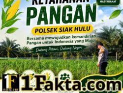 Bhabinkamtibmas Polsek Siak Hulu Monitor Pertumbuhan Jagung Koppsa M, Wujud Nyata Dukungan Polri Terhadap Program Asta Cita 2026