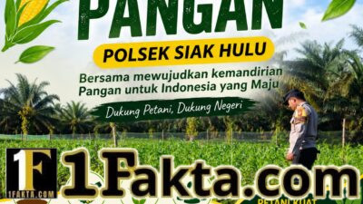 Bhabinkamtibmas Polsek Siak Hulu Monitor Pertumbuhan Jagung Koppsa M, Wujud Nyata Dukungan Polri Terhadap Program Asta Cita 2026
