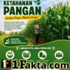 BHABINKAMTIBMAS DESA TANAH MERAH AKTIF MONITOR LAHAN JAGUNG WARGA, WUJUD DUKUNGAN POLRI TERHADAP KETAHANAN PANGAN