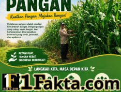 BHABINKAMTIBMAS DESA TANAH MERAH AKTIF MONITOR LAHAN JAGUNG WARGA, WUJUD DUKUNGAN POLRI TERHADAP KETAHANAN PANGAN