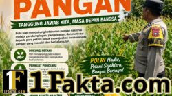 BHABINKAMTIBMAS DESA PANDAU JAYA TINJAU LANGSUNG LAHAN JAGUNG WARGA, DUKUNG PROGRAM KETAHANAN PANGAN NASIONAL