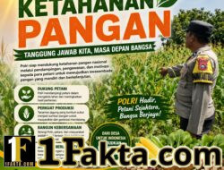 BHABINKAMTIBMAS DESA PANDAU JAYA TINJAU LANGSUNG LAHAN JAGUNG WARGA, DUKUNG PROGRAM KETAHANAN PANGAN NASIONAL