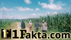 Rawat dan Cek Perkembangan Jagung Lahan PT Simas Sawit Aliantan Polsek Bangkinang Barat Dukung Ketahanan Pangan Nasional 2026