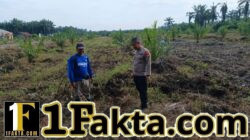 Bhabinkamtibmas Desa Sumber Makmur Terus Dampingi Petani Rawat Tanaman Jagung Dukung Program Asta Cita 2026