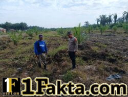 Bhabinkamtibmas Desa Sumber Makmur Terus Dampingi Petani Rawat Tanaman Jagung Dukung Program Asta Cita 2026
