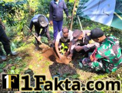 Babinsa Karyasari Bersama Petani Wujudkan Hilirisasi Kopi Lewat Gerakan Tanam Serentak