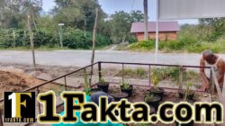 Mahasiswa KKN STIKES PNAD Tanam TOGA untuk Mendukung Ketahanan Pangan di Desa Syura Jadi