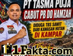 Diduga TBS Sawit dari Kawasan Hutan di Kampar, Elang 3 Hambalang Riau Minta PT Tasma Puja Cabut PB DO Hamzah