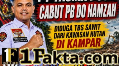 Diduga TBS Sawit dari Kawasan Hutan di Kampar, Elang 3 Hambalang Riau Minta PT Tasma Puja Cabut PB DO Hamzah