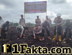 Polsek Siak Hulu Bersama Kelompok Tani Mandiri Desa Baru Tanam Jagung Pipil Quartal III