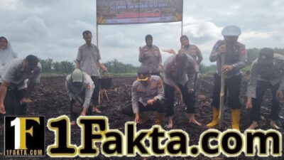 Polsek Siak Hulu Bersama Kelompok Tani Mandiri Desa Baru Tanam Jagung Pipil Quartal III