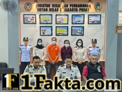 Petugas Rutan Kelas I Jakarta Pusat Kembali Gagalkan Penyelundupan Diduga Sabu yang Disembunyikan di Pakaian Dalam Pengunjung