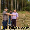 Diduga Abaikan Surat Penghentian, Penebangan Kayu di Siborongborong,desa Huta Bulu Masih Berlangsung; LSM-WGMPA Desak Gakkum LHK Segera Bertindak