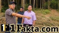 Diduga Abaikan Surat Penghentian, Penebangan Kayu di Siborongborong,desa Huta Bulu Masih Berlangsung; LSM-WGMPA Desak Gakkum LHK Segera Bertindak