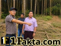 Diduga Abaikan Surat Penghentian, Penebangan Kayu di Siborongborong,desa Huta Bulu Masih Berlangsung; LSM-WGMPA Desak Gakkum LHK Segera Bertindak