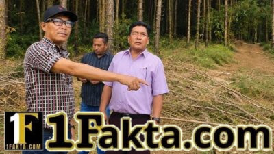 Diduga Abaikan Surat Penghentian, Penebangan Kayu di Siborongborong,desa Huta Bulu Masih Berlangsung; LSM-WGMPA Desak Gakkum LHK Segera Bertindak