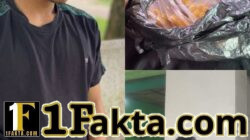 Polsek Cisoka Berhasil Mengamankan Seorang Pengedar Obat Keras Daftar G di Cikasungka, Pelaku Dilimpahkan Ke Polresta Tangerang