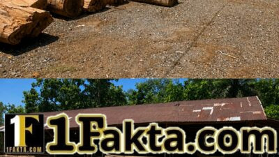 Diduga Sawmill Olah Kayu Hasil Illegal Logging Di Aceh Barat, Aparat Diminta Tidak Tutup Mata