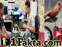 Sediakan Lahan Perjudian Sabung Ayam, Pria Paruh Baya Ditangkap Polisi di OKU Timur