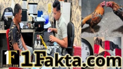Sediakan Lahan Perjudian Sabung Ayam, Pria Paruh Baya Ditangkap Polisi di OKU Timur