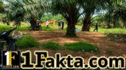 Galian Pasir Pulo Harapan Disorot: Bibir Sungai Diduga Rusak, Jalan Dilalui Dump Truck, Legalitas Dipertanyakan