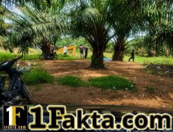Galian Pasir Pulo Harapan Disorot: Bibir Sungai Diduga Rusak, Jalan Dilalui Dump Truck, Legalitas Dipertanyakan