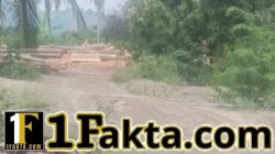 Diduga Sawmill Olah Kayu Hasil Tebangan Hutan di Krueng Beukah, Peusangan Selatan, Dinas Terkait dan Aparat Diminta Segera Turun