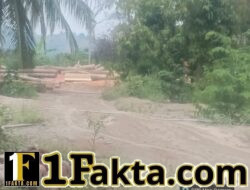Diduga Sawmill Olah Kayu Hasil Tebangan Hutan di Krueng Beukah, Peusangan Selatan, Dinas Terkait dan Aparat Diminta Segera Turun