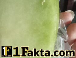 HEBOH! Ulat Ditemukan pada Buah Melon di SPPG Posyandu Paloh Lada, Ibu-Ibu Pertanyakan Keamanan Pangan
