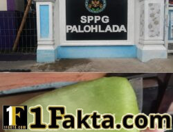 Diduga Ada Ulat Dalam Buah Melon, Sppg Dapur Palda Disorot — Pemilik Dapur, Muslem, Diminta Buka Suara Temuan di Posyandu Paloh Lada Aceh Utara Picu Kekhawatiran Ibu-Ibu, Instansi Pengawas Diminta Segera Turun Tangan