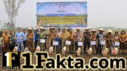 Sijaba Jadi Model Pertanian Modern Taput, Bupati JTP Bidik 23.538 Hektare Jagung pada 2026