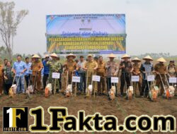 Sijaba Jadi Model Pertanian Modern Taput, Bupati JTP Bidik 23.538 Hektare Jagung pada 2026