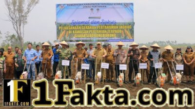 Sijaba Jadi Model Pertanian Modern Taput, Bupati JTP Bidik 23.538 Hektare Jagung pada 2026